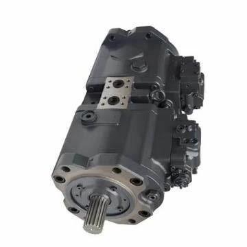 Vickers PV046R9K1T1NGCC4545K0009 PV 196 pompe à piston