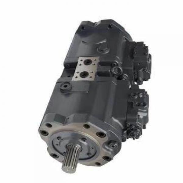 Vickers PV046R9K1T1NGCC4545K0009 PV 196 pompe à piston #1 image